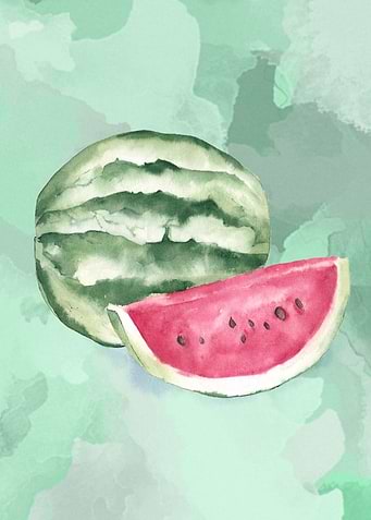 A watermelon in watercolor on a watercolor green backgr ...