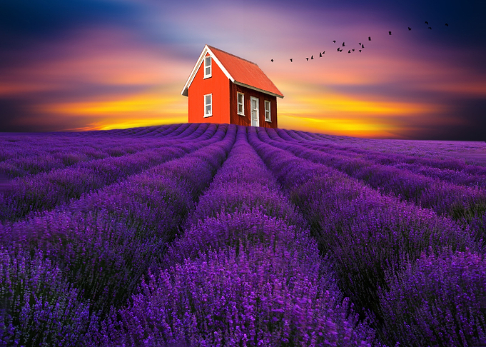 Beauty Of Nature By Chrissie Judge