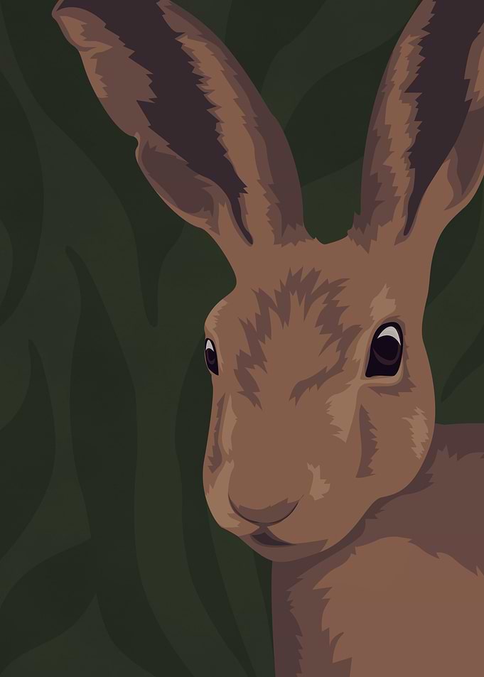 Leporidae