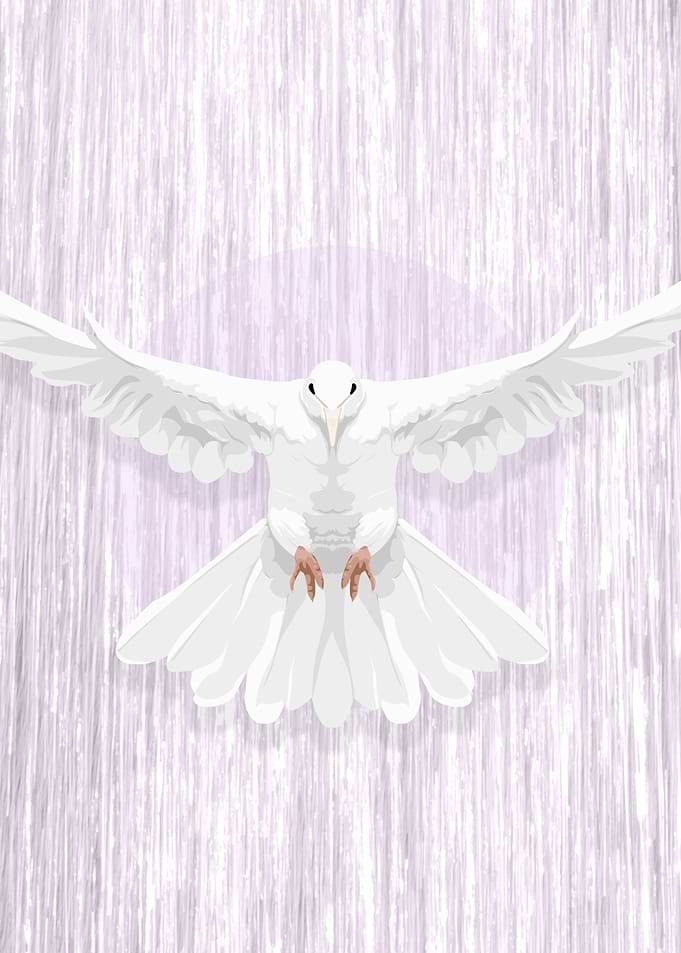 When Doves Cry