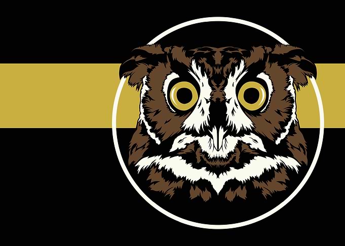 Athena Noctuam