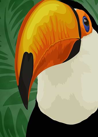 Amazonial Toco