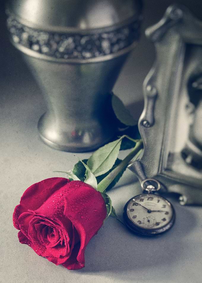 Timeless Memory