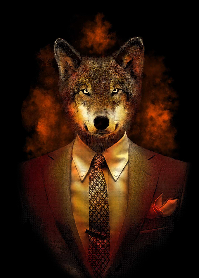Mr. Howl