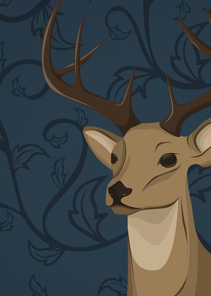 Cervidae
