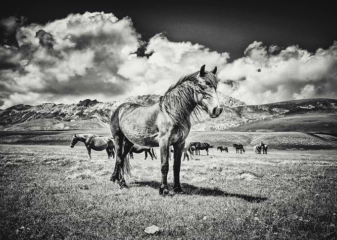 Little Tibet