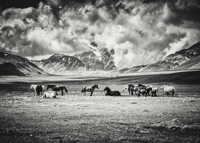 Little Tibet