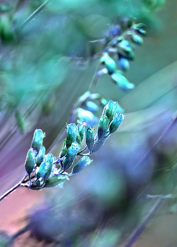 Title: MINT SPANGLES no2.Photo Art / Mixed Media.©2015- ...