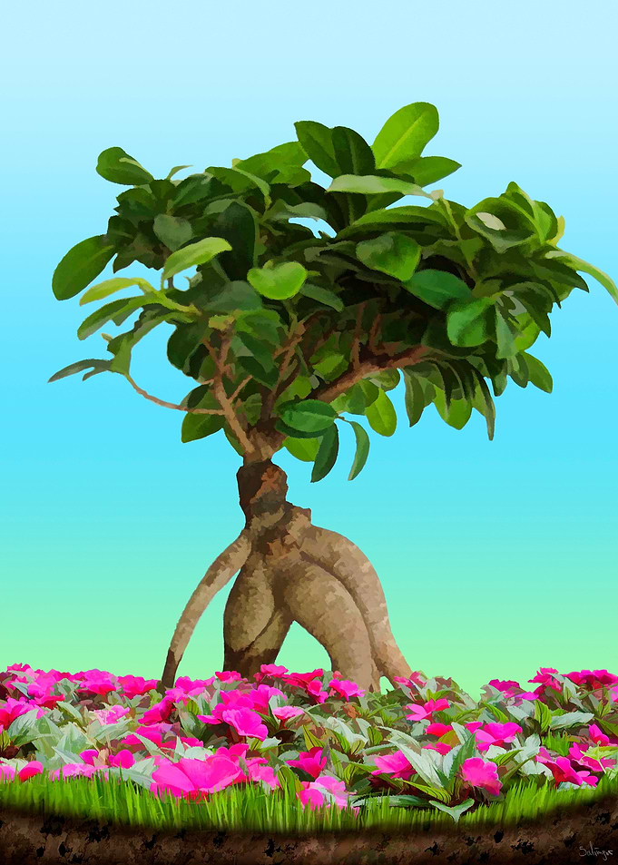 The Bonsai
