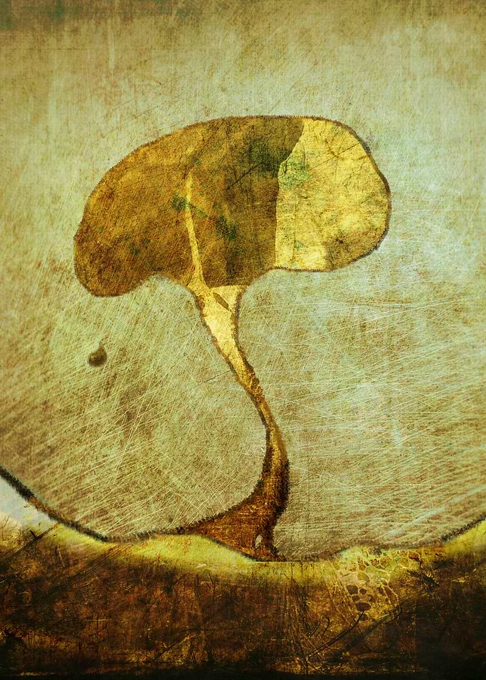 The Fallen