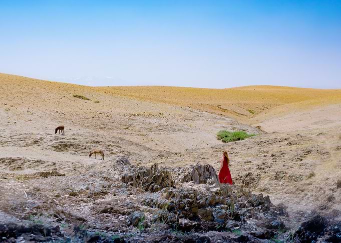 In the Desert