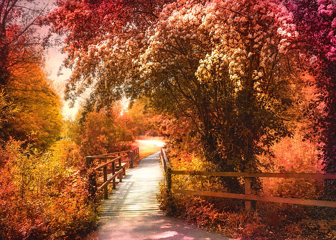 Autumn