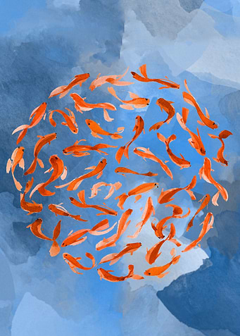 Koi fish swimming in a circle on a blue background. In ...