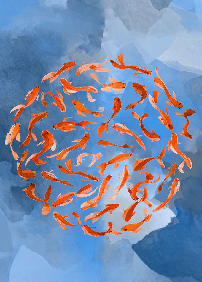 Koi fish swimming in a circle on a blue background. In ...