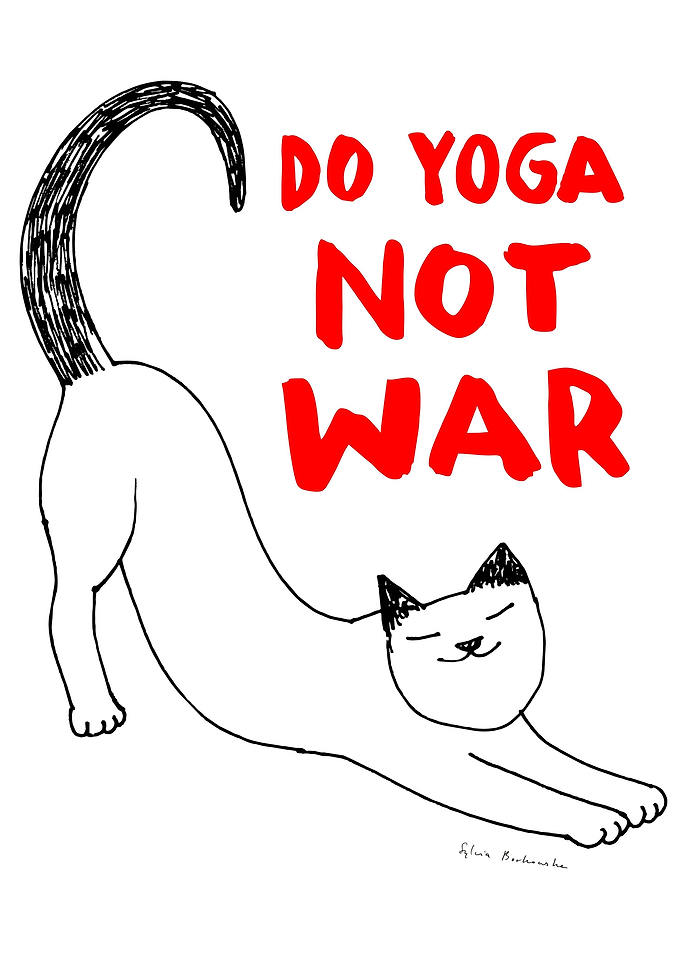 Do yoga not war cat