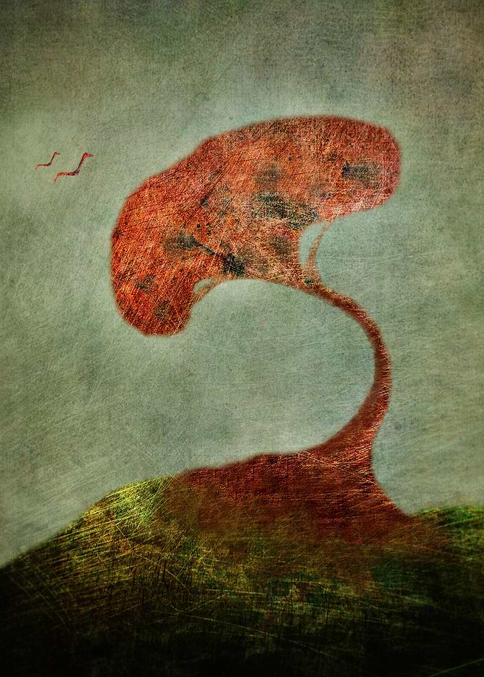 Fragile Flight