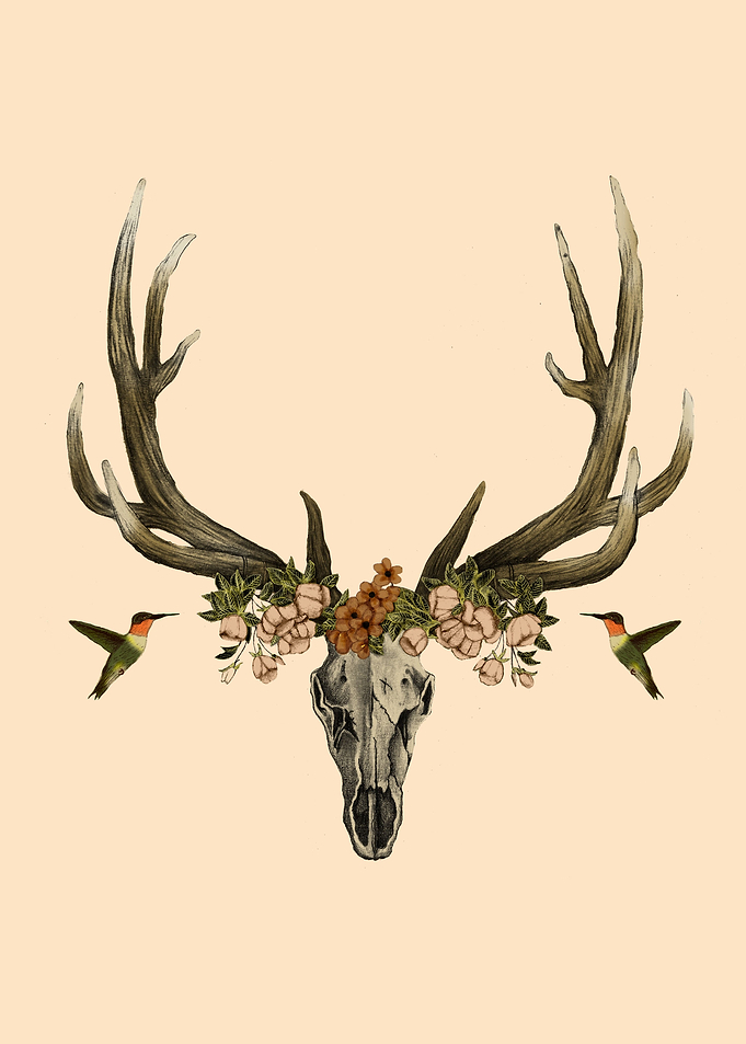 My Design