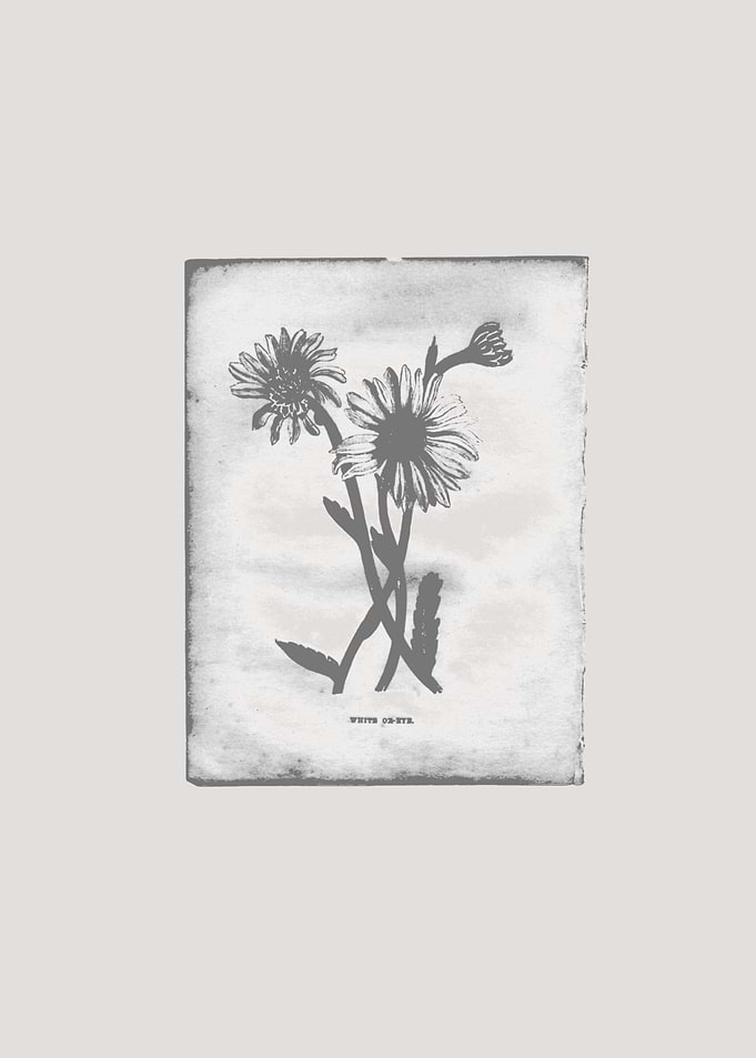 Daisy / creme BY GASPONCE A daisy undercover gives a mo ...