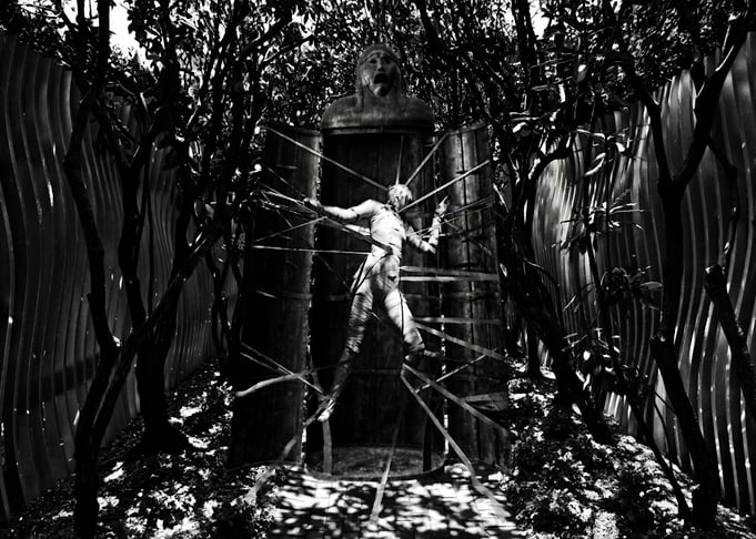 Inside The Garden of Poison Delights