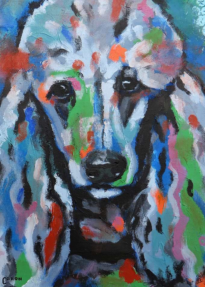 Poodle