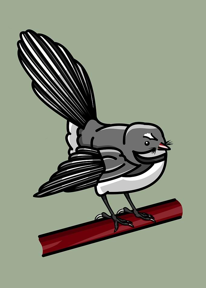 Fantail perched on a branch