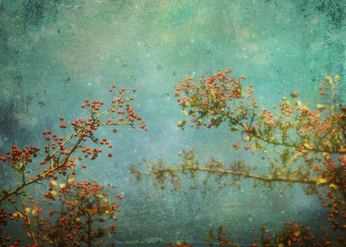 vintage branch