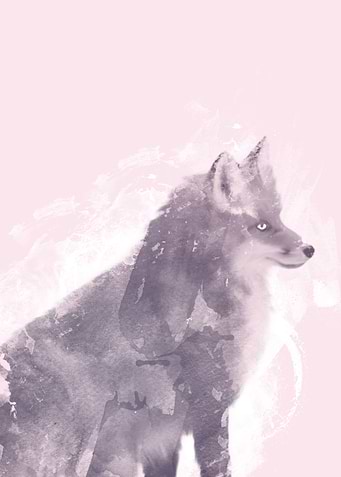 The Foxy Lady