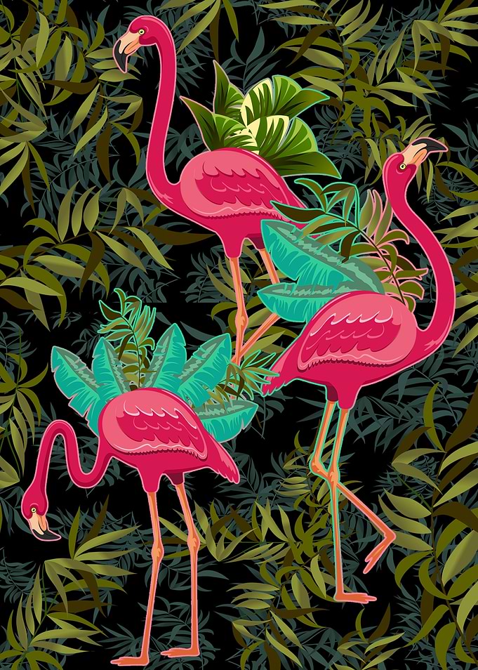 Pink Flamingos Exotic Birds on Black Background
