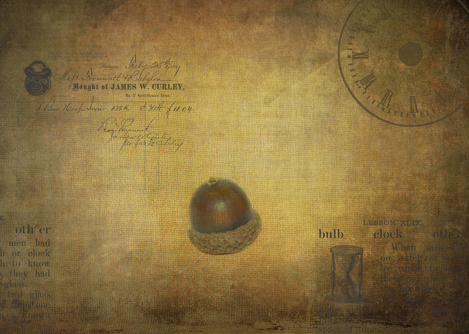Vintage acorn