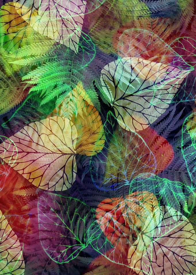 Forest Flora