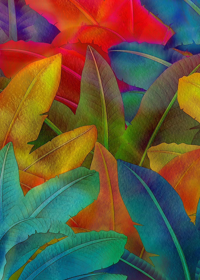 Exotic Leaves