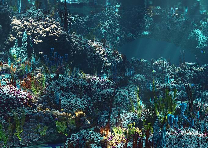 Nemo's Garden