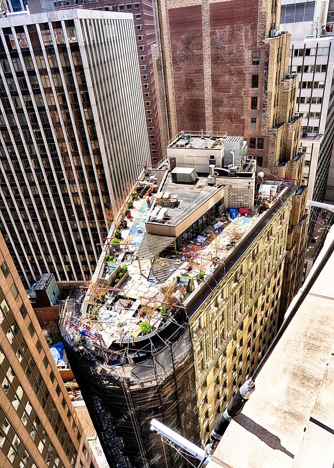 The Lonely Rooftop