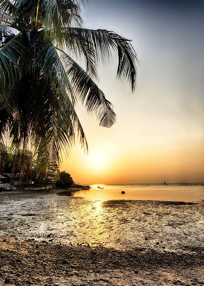 The Sunset II