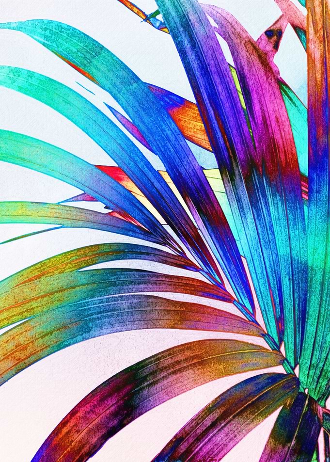 Multicolor Palm Leaf