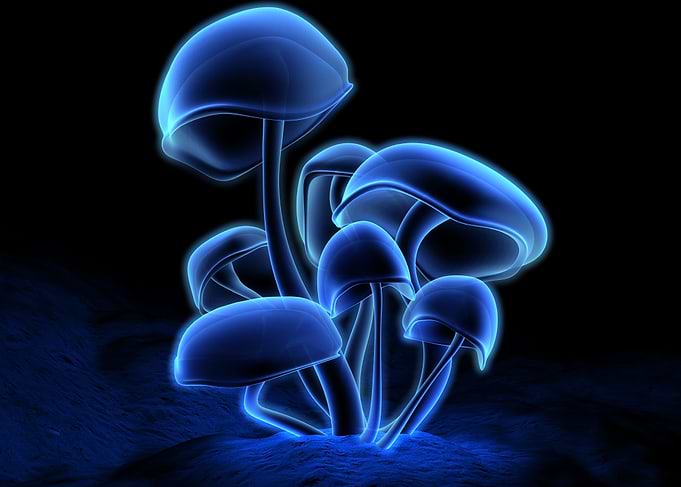 Fluorescence