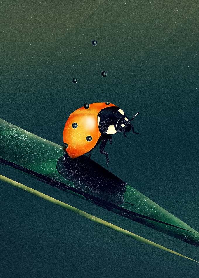 Oh, Bugger...| Digital Art, 2015