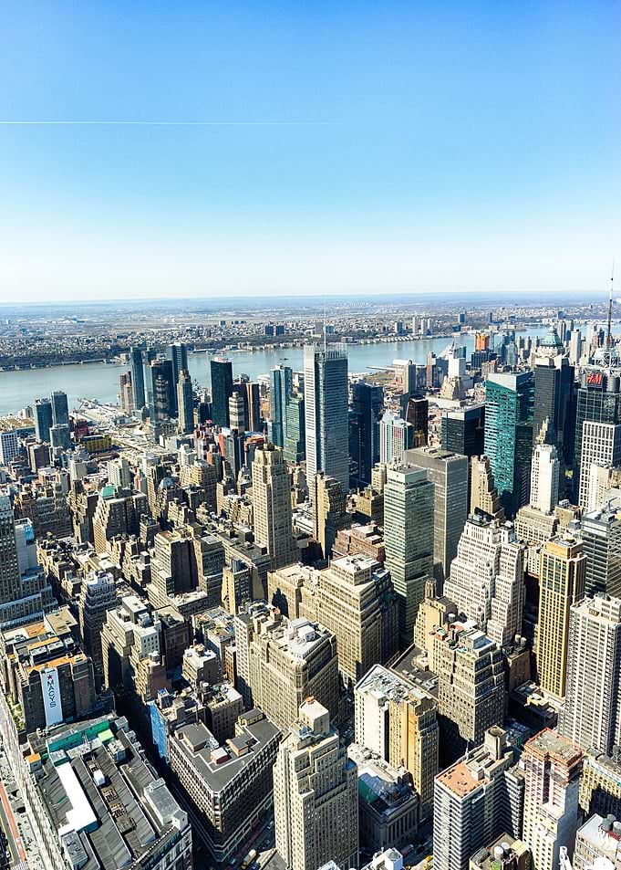 Concrete Jungle