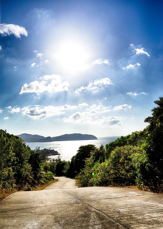 The Sunny Road