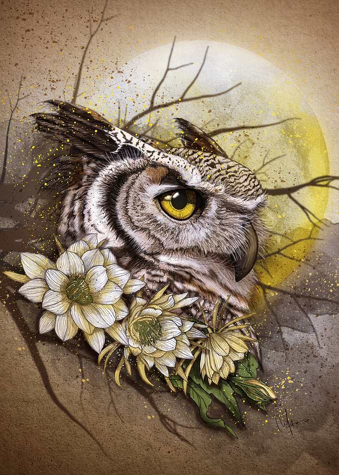 owl