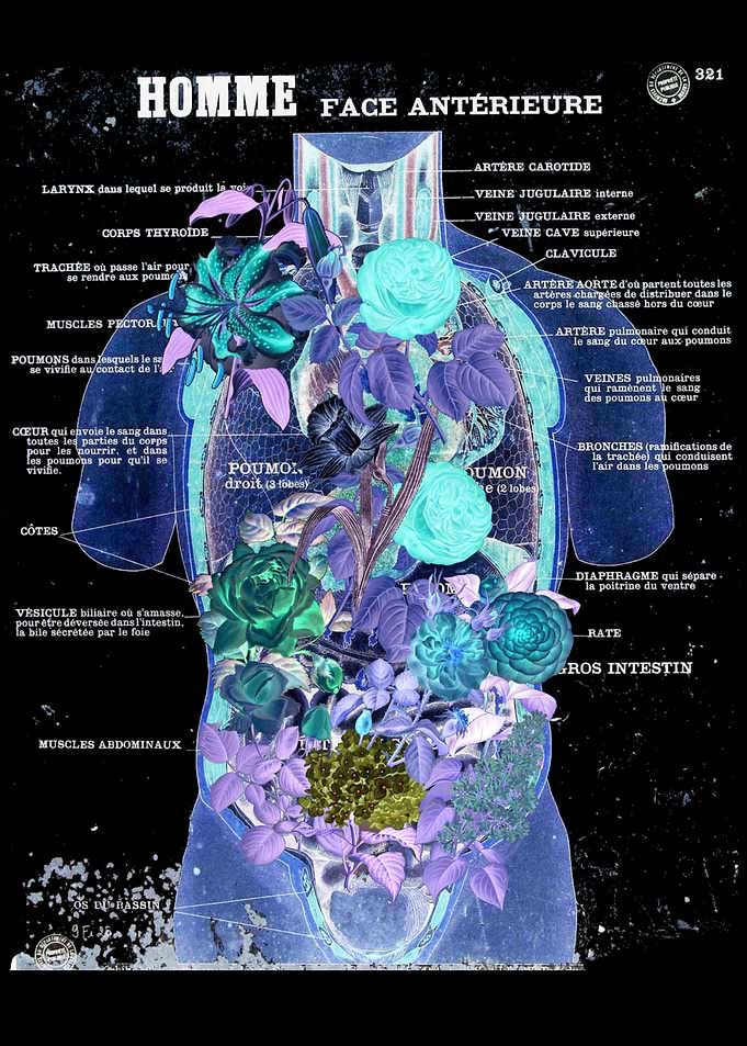 iNSIDE invert BY GASPONCEiNSIDE OF US FLOWERS GROW but ...