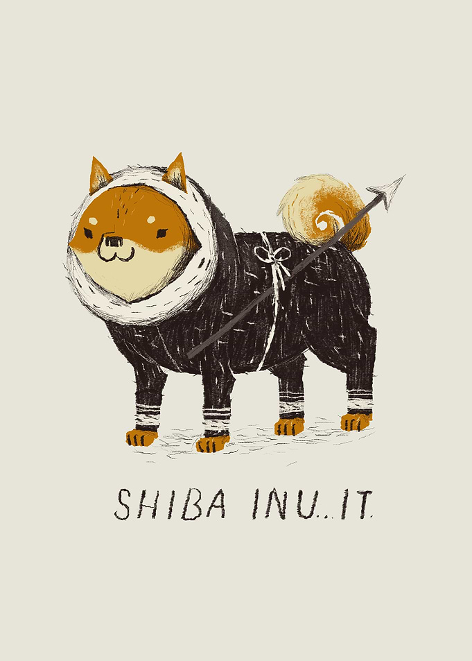 shiba inuit!