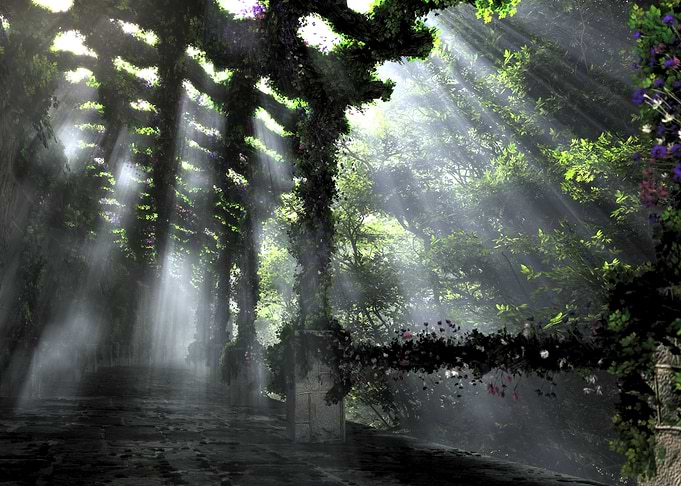 The Shaded Path