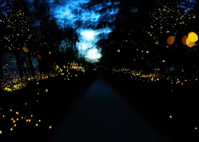 The Night Path