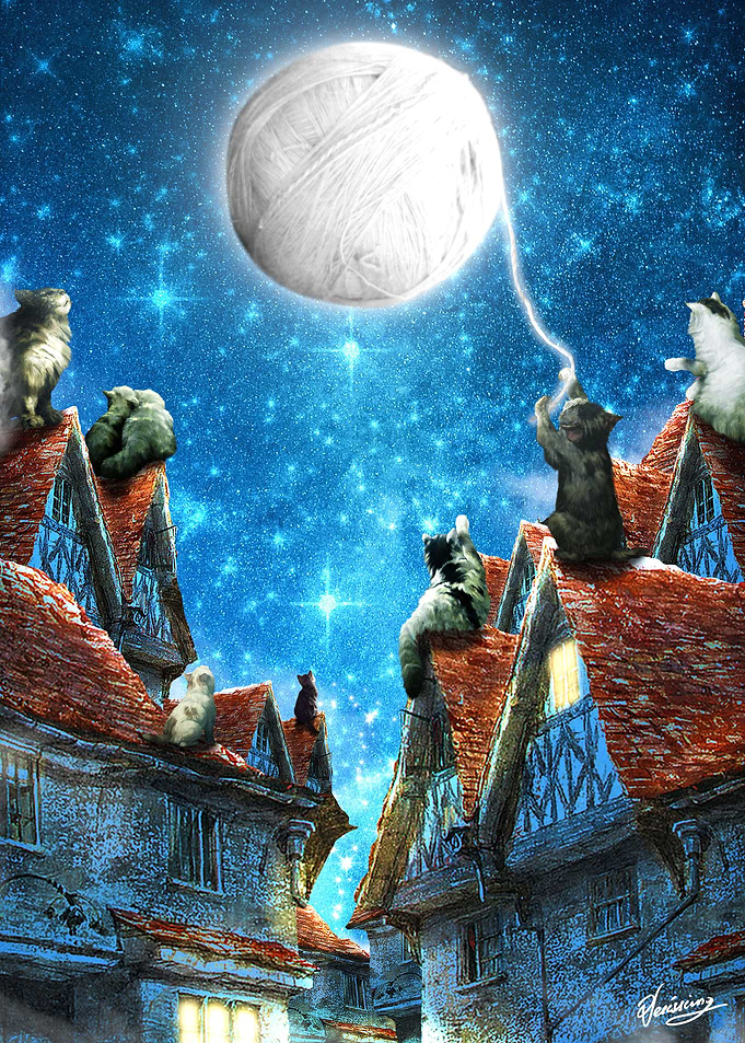 Feline Dreams