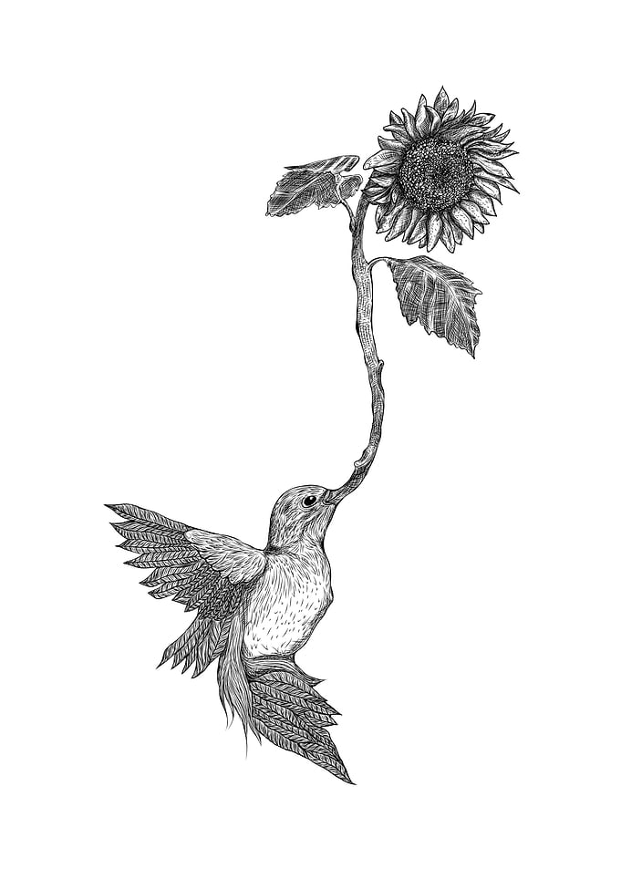 Mocking Bird