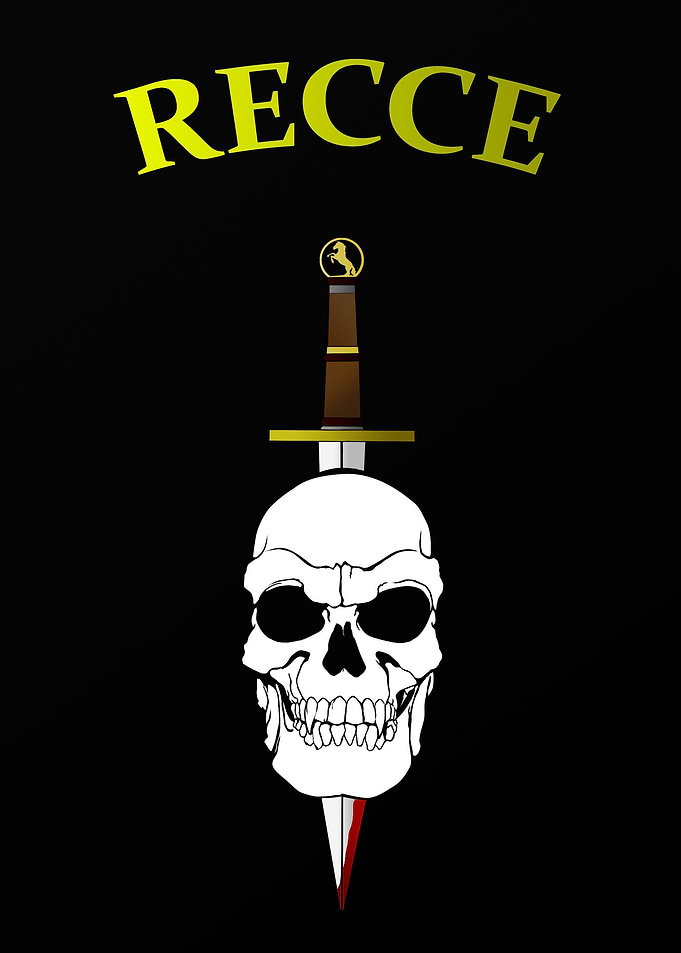 recon