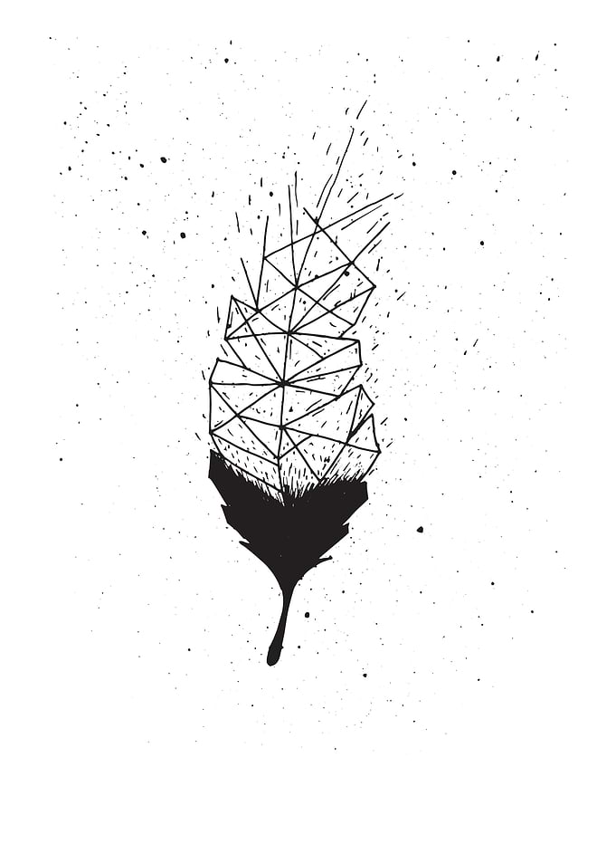 geometric feather