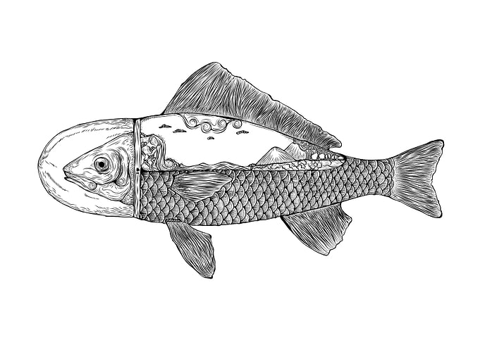 fish