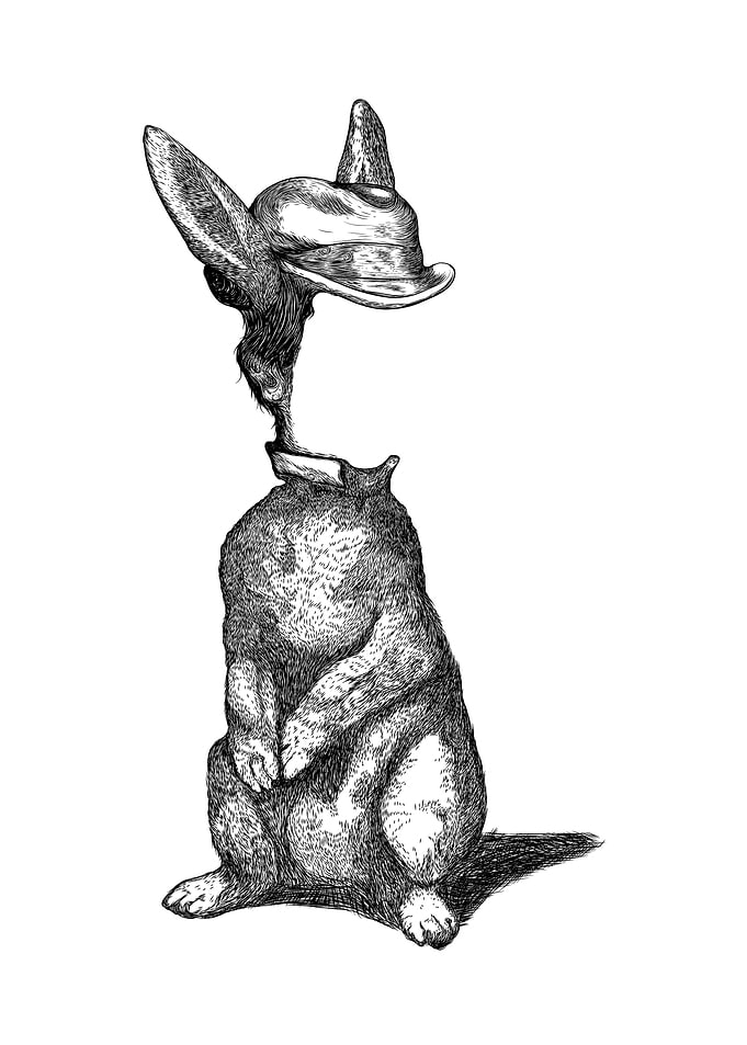 Rabbit Man